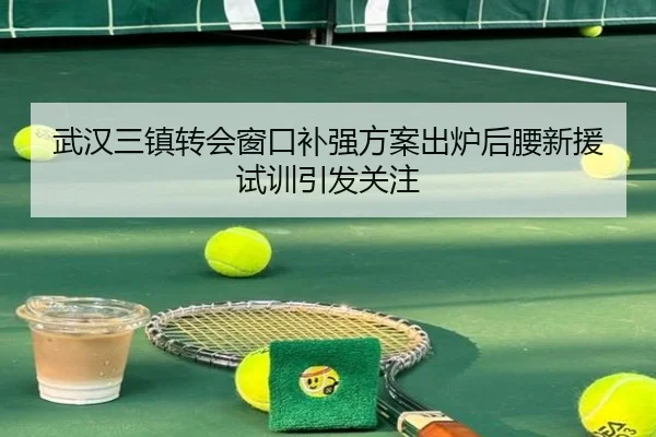 武汉三镇转会窗口补强方案出炉后腰新援试训引发关注 - KOKSPORTS
